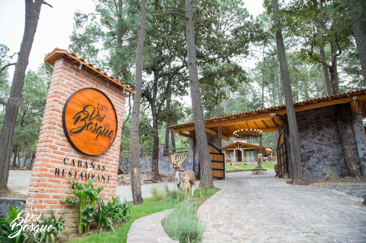 Cabanas La Vid Del Bosque Hotel Tapalpa Exterior photo