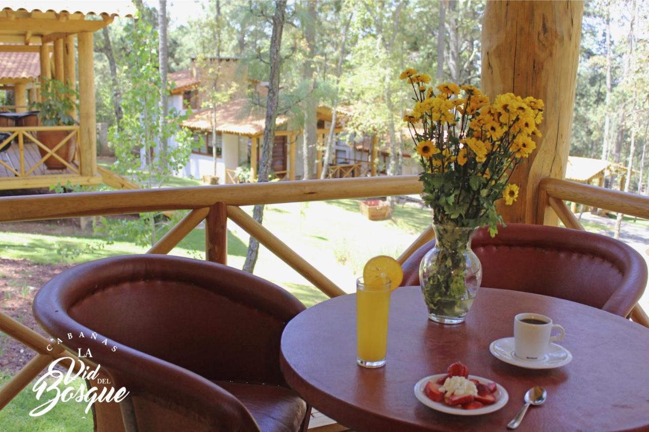 Cabanas La Vid Del Bosque Hotel Tapalpa Exterior photo