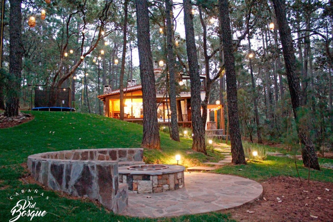 Cabanas La Vid Del Bosque Hotel Tapalpa Exterior photo