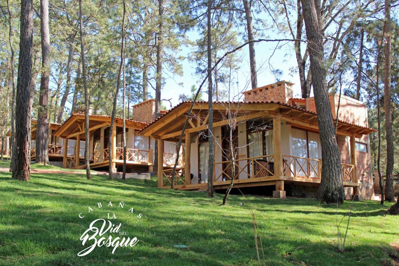 Cabanas La Vid Del Bosque Hotel Tapalpa Exterior photo